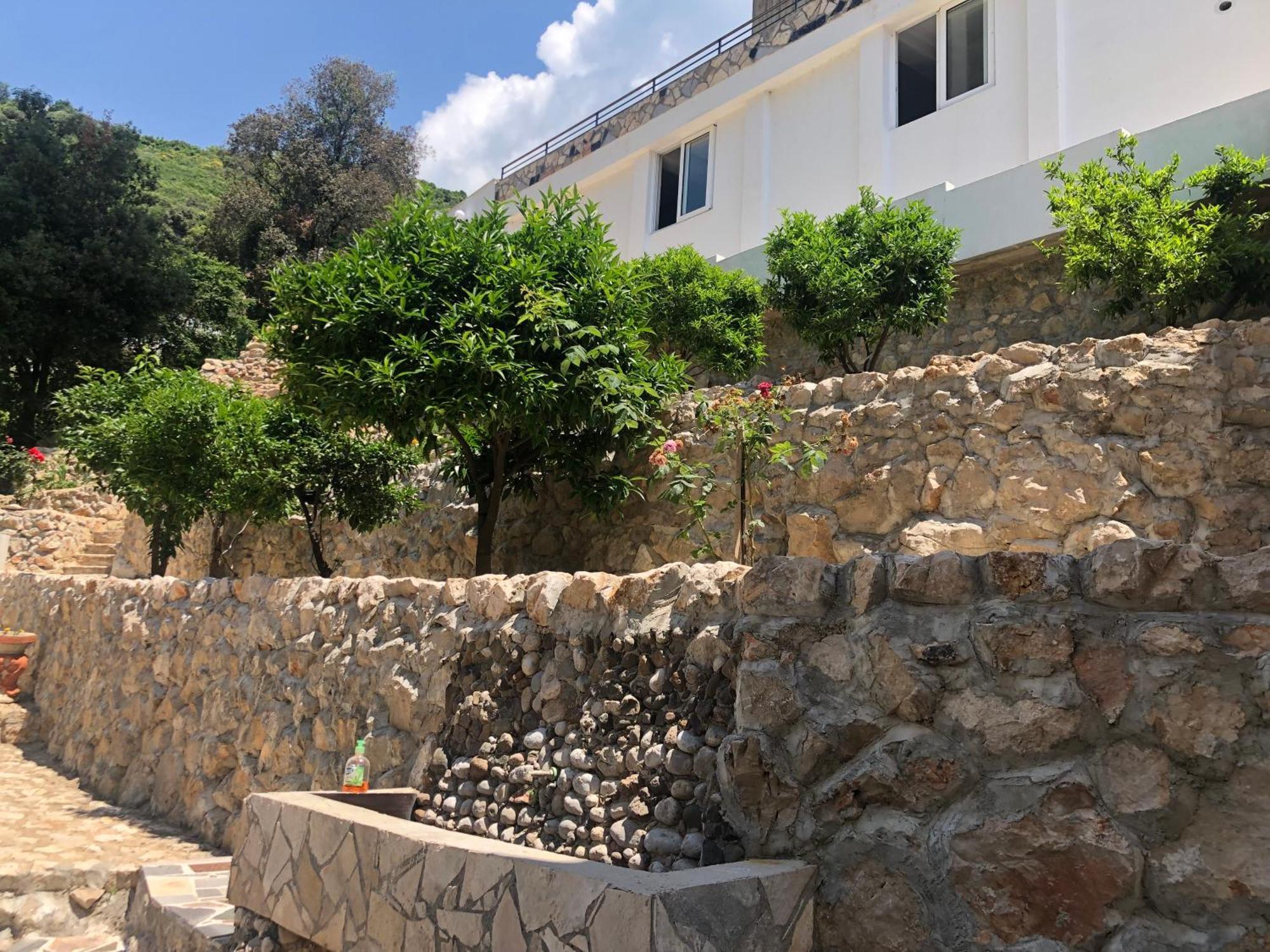 דוברה וודה Novalic Hotel מראה חיצוני תמונה