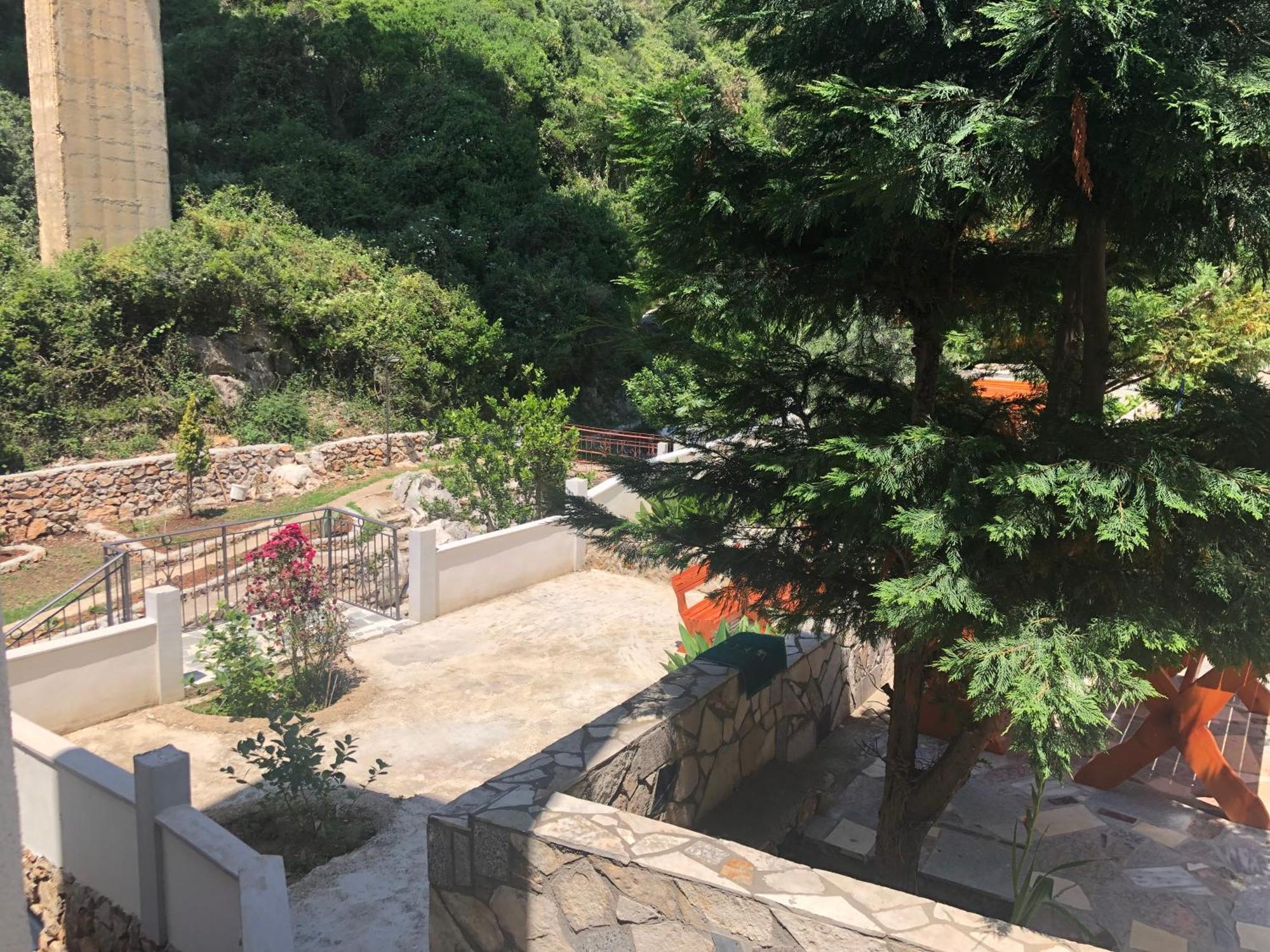 דוברה וודה Novalic Hotel מראה חיצוני תמונה