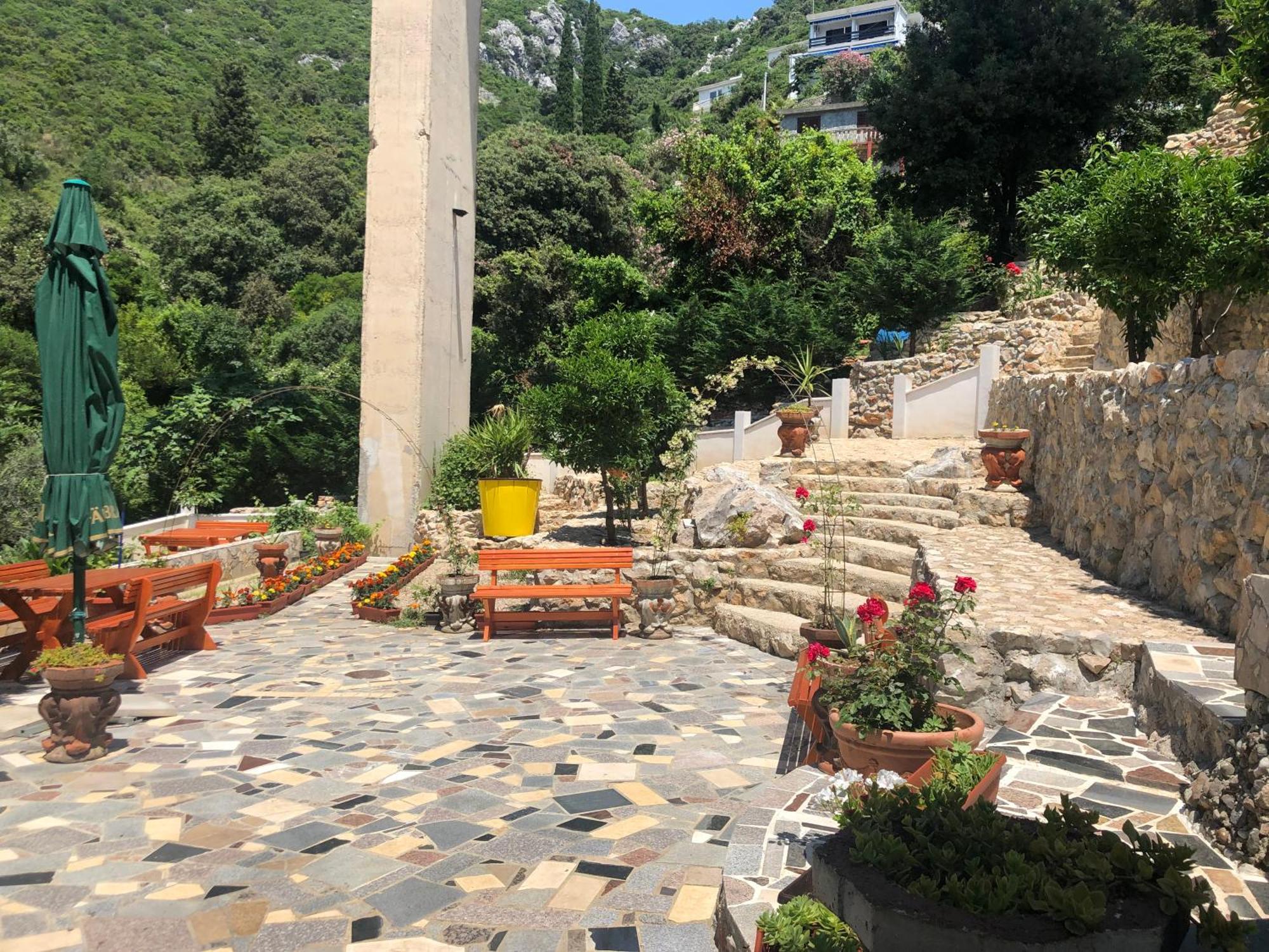 דוברה וודה Novalic Hotel מראה חיצוני תמונה